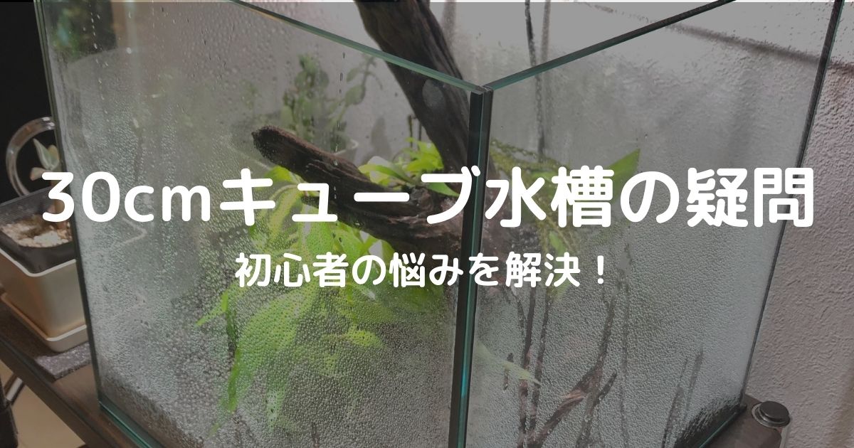 30cmキューブ水槽 容量は 生体は何匹 など気になる疑問に答えます すきlog